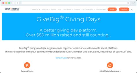 15 Best Donation Platforms to Supercharge Your .
